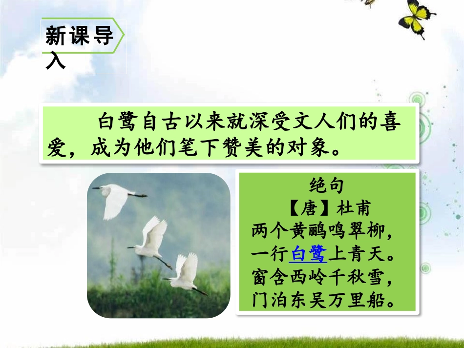 《白鹭》PPT课件[部编版五年级语文上册]_第2页