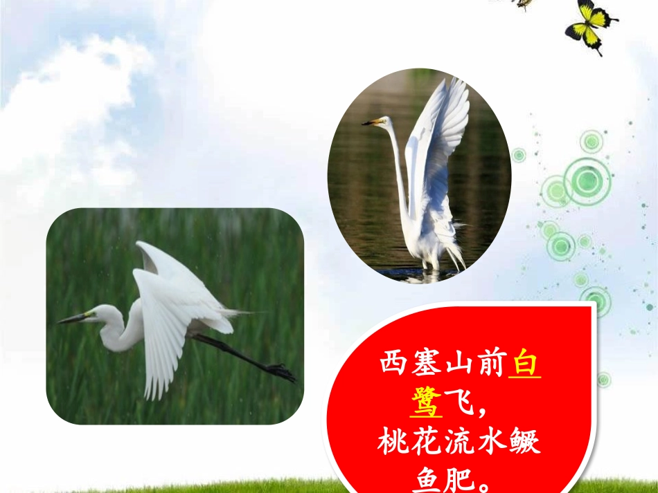 《白鹭》PPT课件[部编版五年级语文上册]_第3页