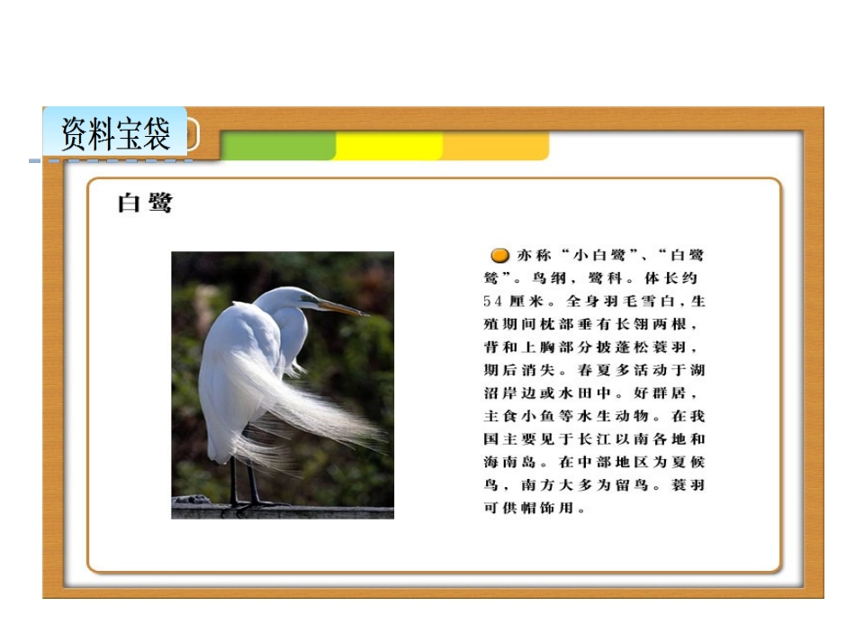 《白鹭》PPT课件[部编版五年级语文上册]_第3页