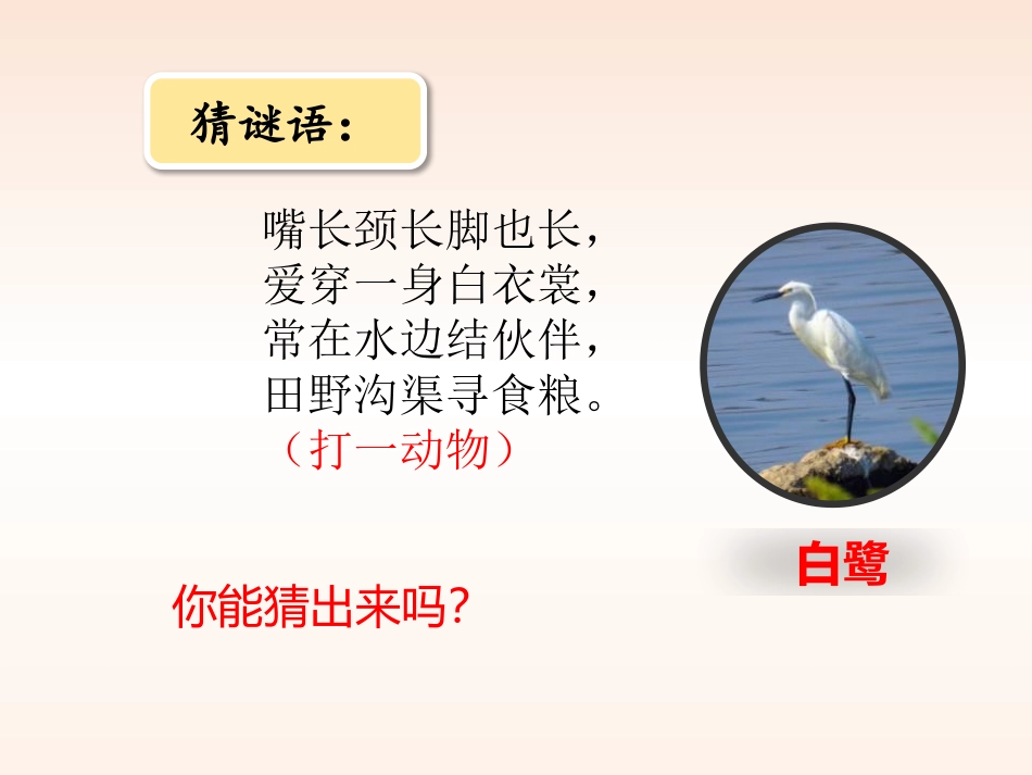 《白鹭》PPT教学课件[部编版五年级语文上册]_第2页