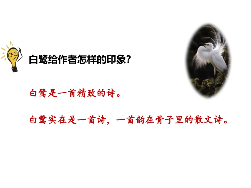 《白鹭》第二课时PPT课件[部编版五年级语文上册]_第3页