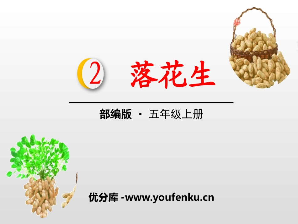 《落花生》PPT课件[部编版五年级语文上册]_第1页