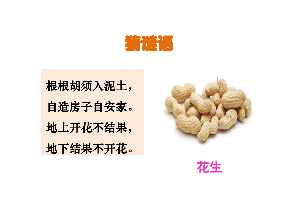 《落花生》第一课时PPT课件[部编版五年级语文上册]_第2页