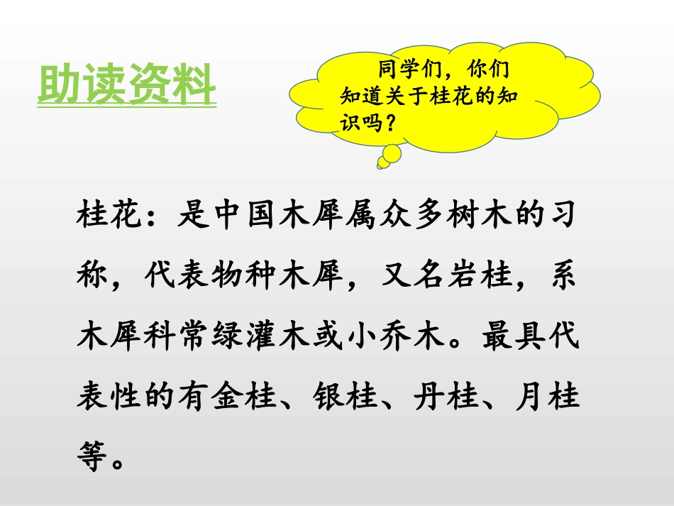 《桂花雨》PPT教学课件[部编版五年级语文上册]_第3页