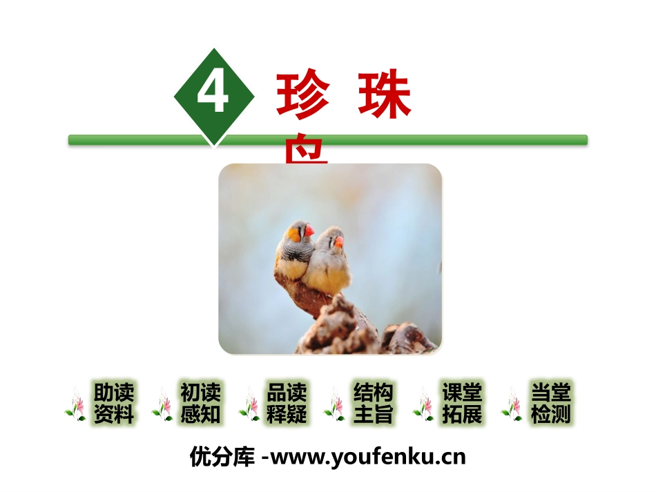《珍珠鸟》PPT课件[部编版五年级语文上册]_第1页