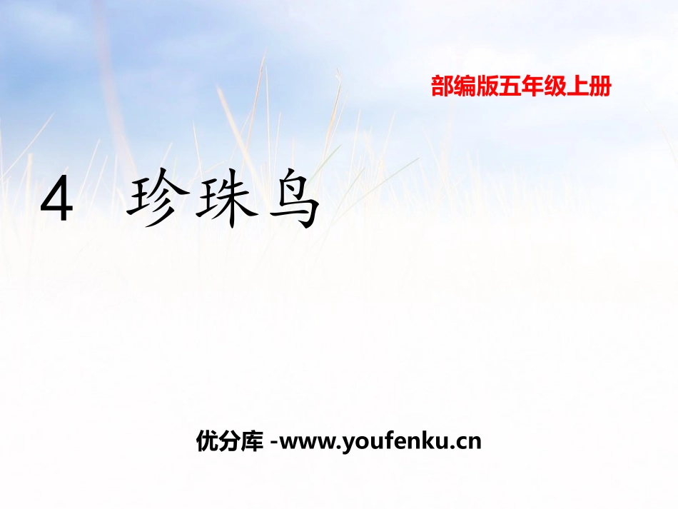 《珍珠鸟》PPT教学课件[部编版五年级语文上册]_第1页