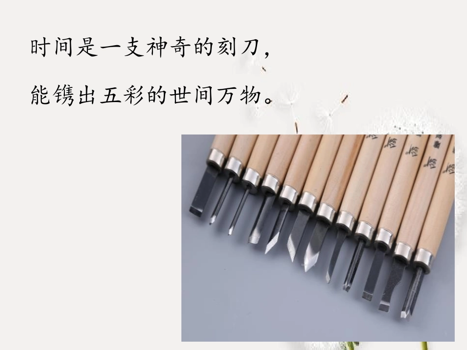 《二十年后的家乡》第一课时PPT课件[部编版五年级语文上册]_第2页