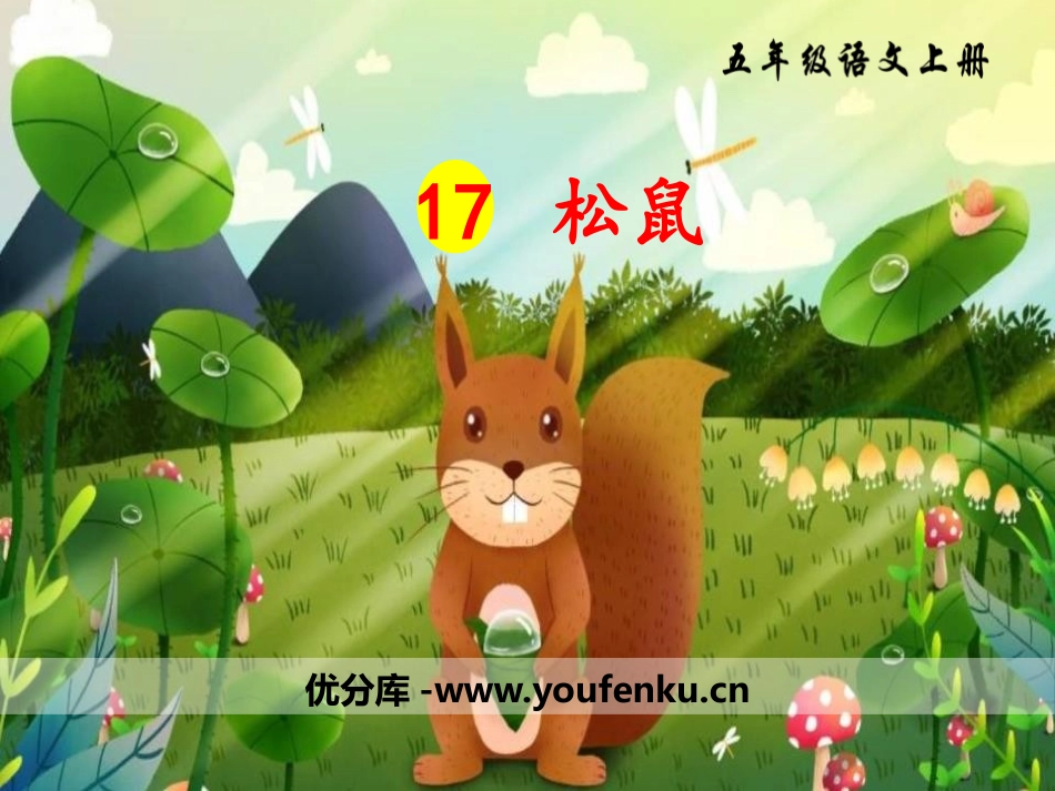 《松鼠》PPT课件[部编版五年级语文上册]_第1页