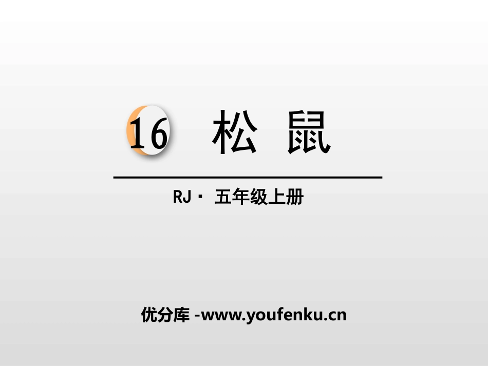 《松鼠》PPT免费课件[部编版五年级语文上册]_第1页