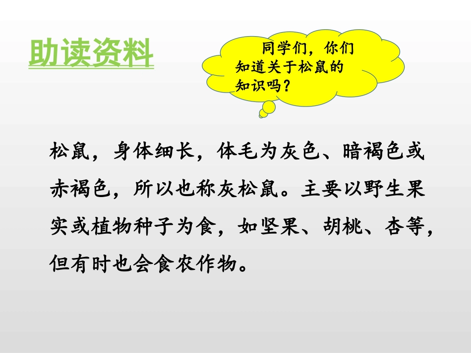 《松鼠》PPT免费课件[部编版五年级语文上册]_第3页