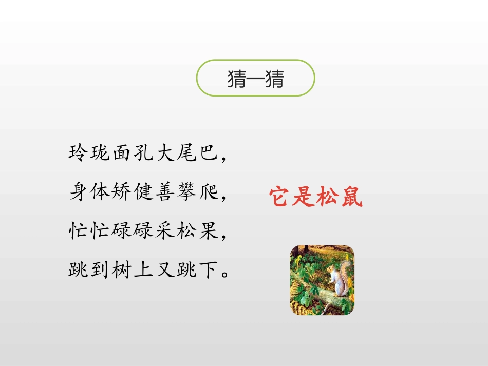 《松鼠》第一课时PPT课件[部编版五年级语文上册]_第3页