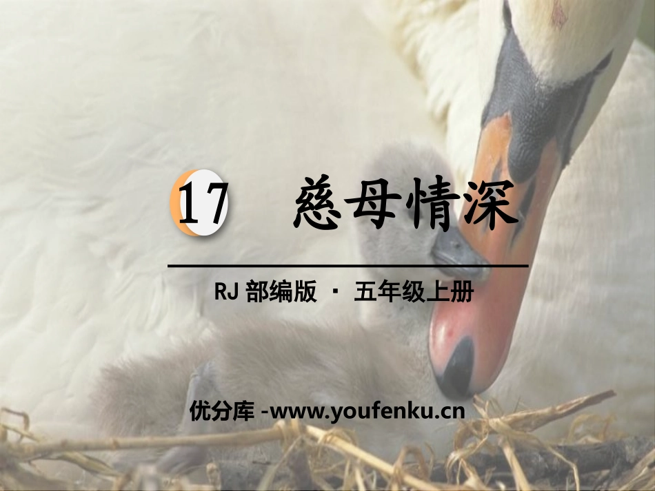 《慈母情深》PPT教学课件[部编版五年级语文上册]_第1页