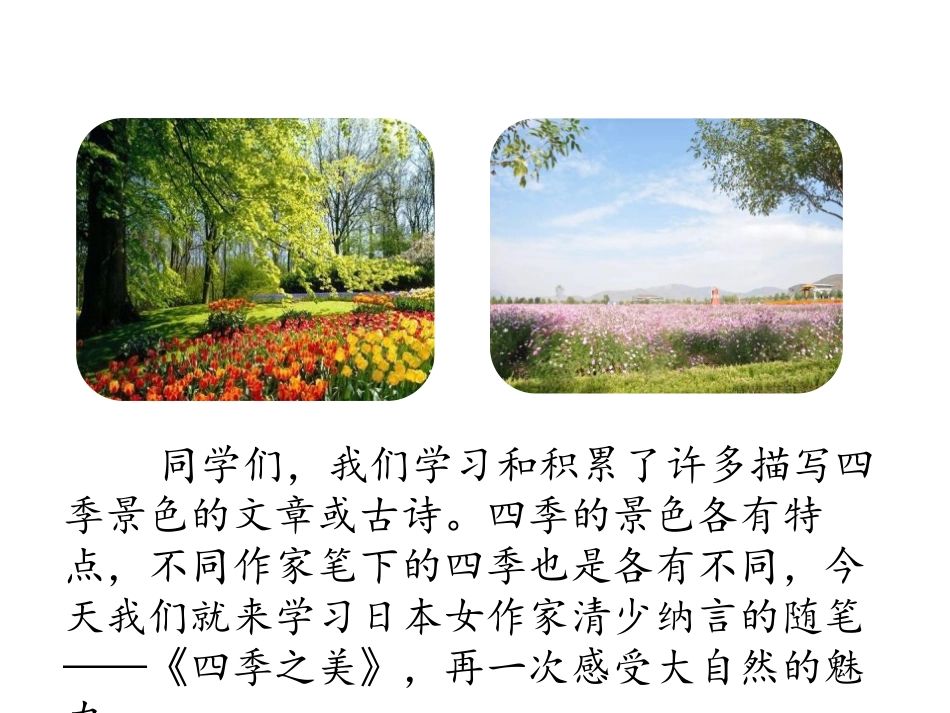 《四季之美》第一课时PPT课件[部编版五年级语文上册]_第3页