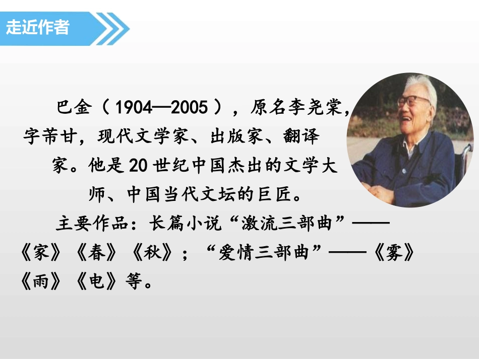 《鸟的天堂》PPT课件[部编版五年级语文上册]_第3页