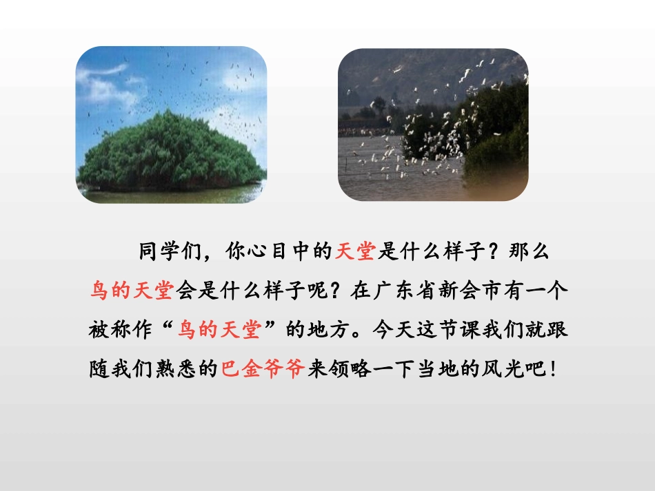 《鸟的天堂》第一课时PPT课件[部编版五年级语文上册]_第3页