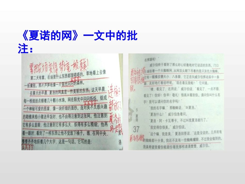 《语文园地六》PPT课件[部编版四年级语文上册]_第3页