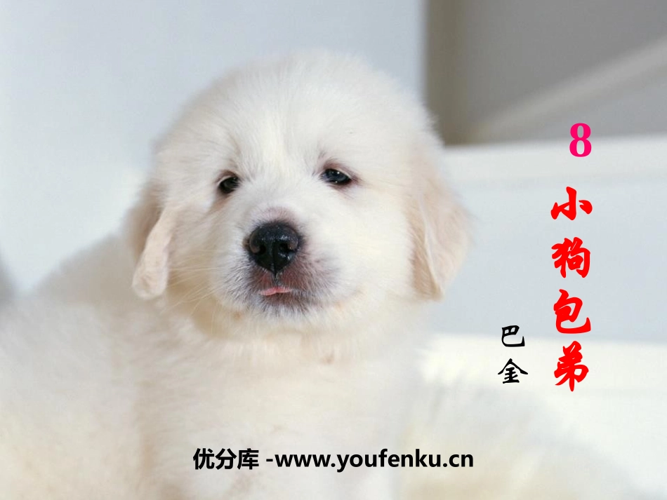 《小狗包弟》PPT教学课件[统编版高中语文必修一]_第1页