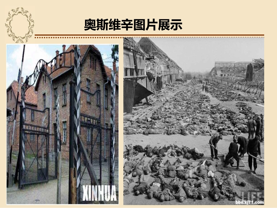 《奥斯维辛没有什么新闻》PPT课件[统编版高中语文必修一]_第2页