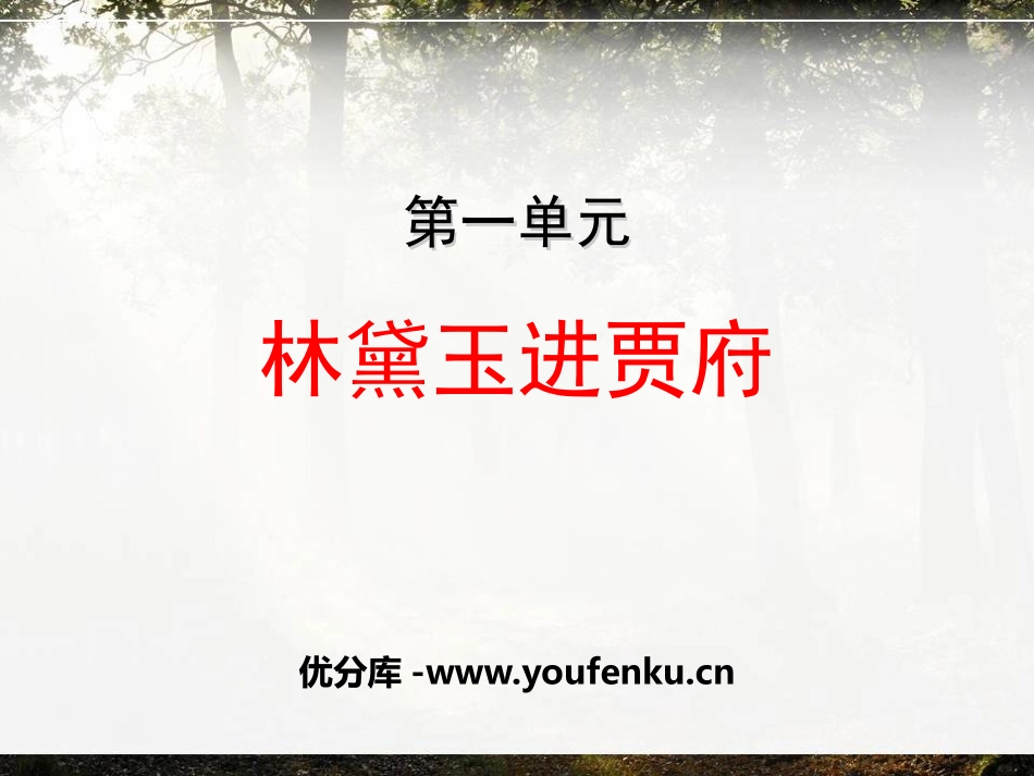 《林黛玉进贾府》PPT课件[统编版高中语文上册]_第1页