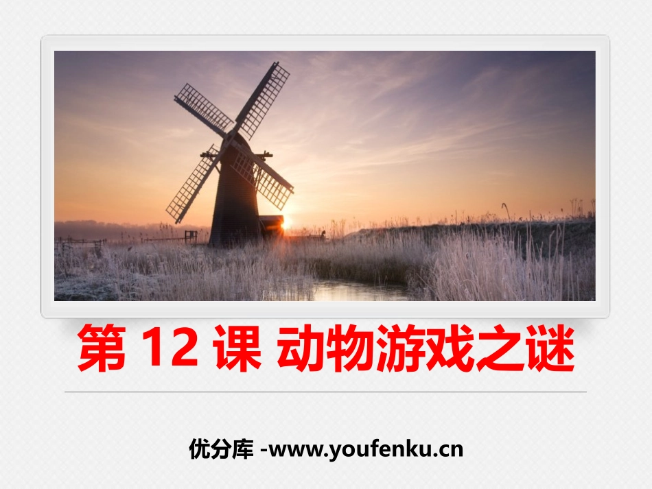 《动物游戏之谜》PPT课件[统编版高中语文上册]_第1页