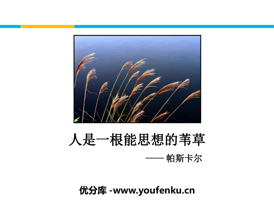 《人是一根能思考的苇草》短文三篇PPT课件[统编版高中语文选择性必修]_第1页
