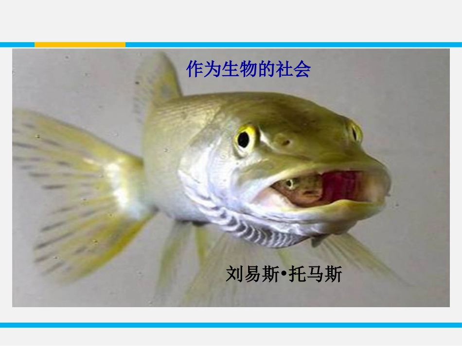 《作为生物的社会》PPT课件[统编版高中语文下册]_第2页