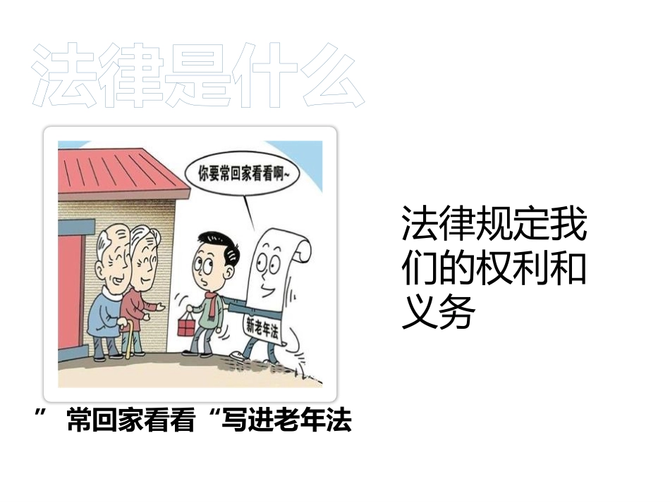 《感受生活中的法律》我们的守护者PPT课件[六年级道德与法治]_第2页