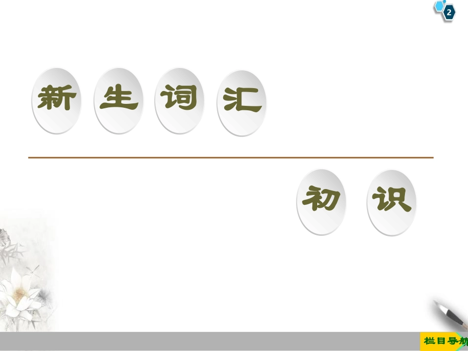 《Life Choices》Section ⅢPPT课件_第2页