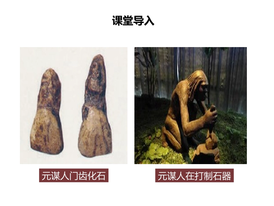 《中华文明的起源与早期国家》从中华文明起源到秦汉大一统封建国家的建立与巩固PPT课件_第3页