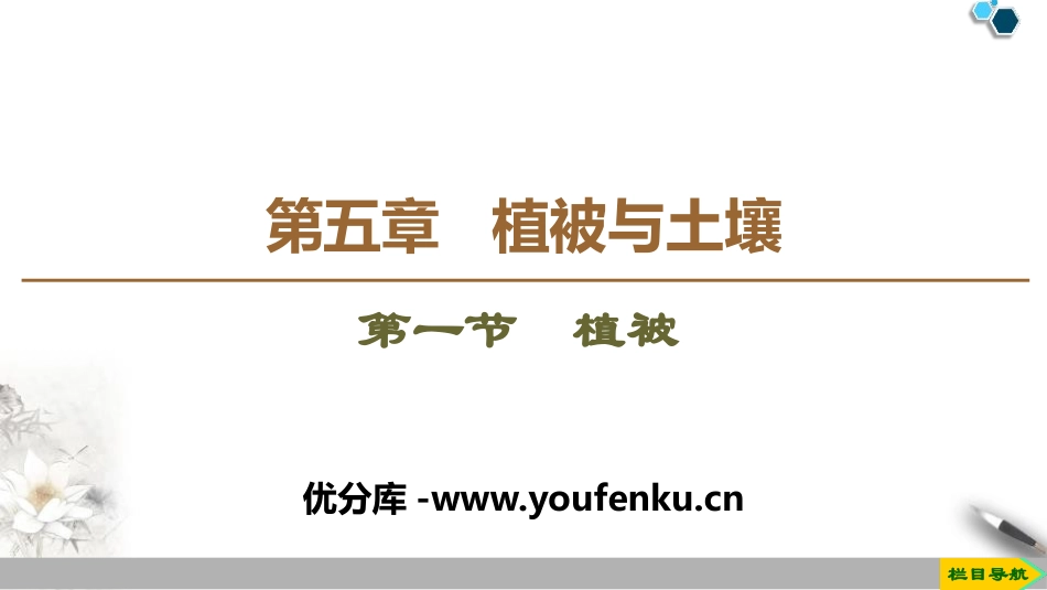 《植被》植被与土壤PPT课件[人教版高中地理必修一]_第1页