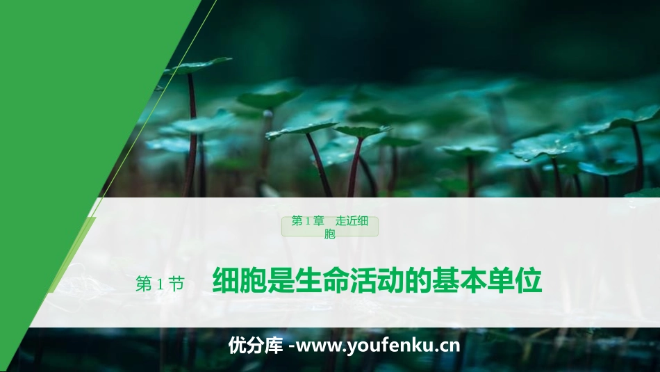 《细胞是生命活动的基本单位》走近细胞PPT教学课件_第1页