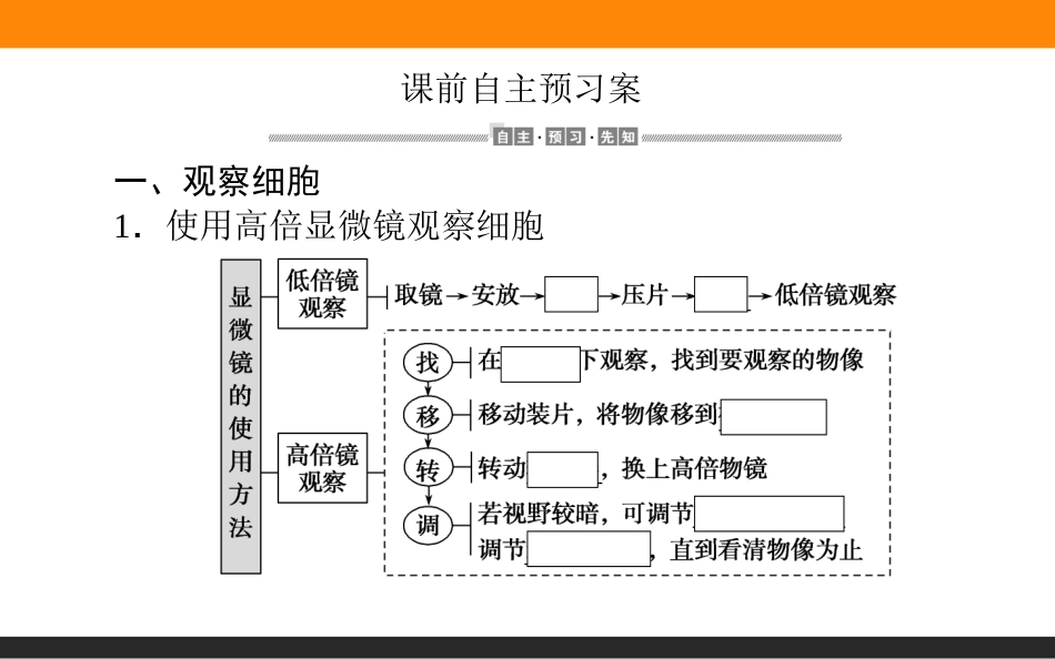 《细胞的多样性和统一性》走近细胞PPT课件[人教版高中生物必修一]_第2页