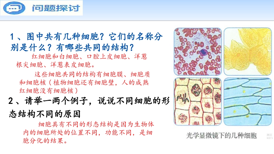 《细胞的多样性和统一性》走近细胞PPT课件[人教版高中生物必修一]_第2页