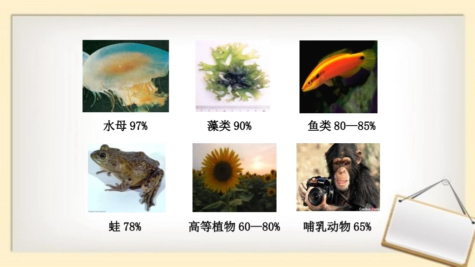 《细胞中的无机物》组成细胞的分子PPT课件[人教版高中生物必修一]_第3页