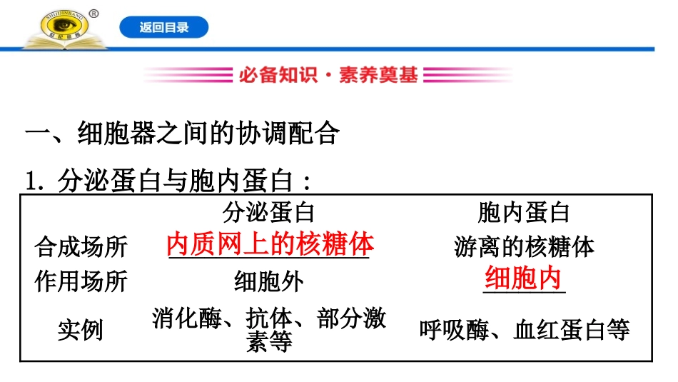 《细胞器之间的分工合作》细胞的基本结构PPT(第二课时)PPT课件_第3页