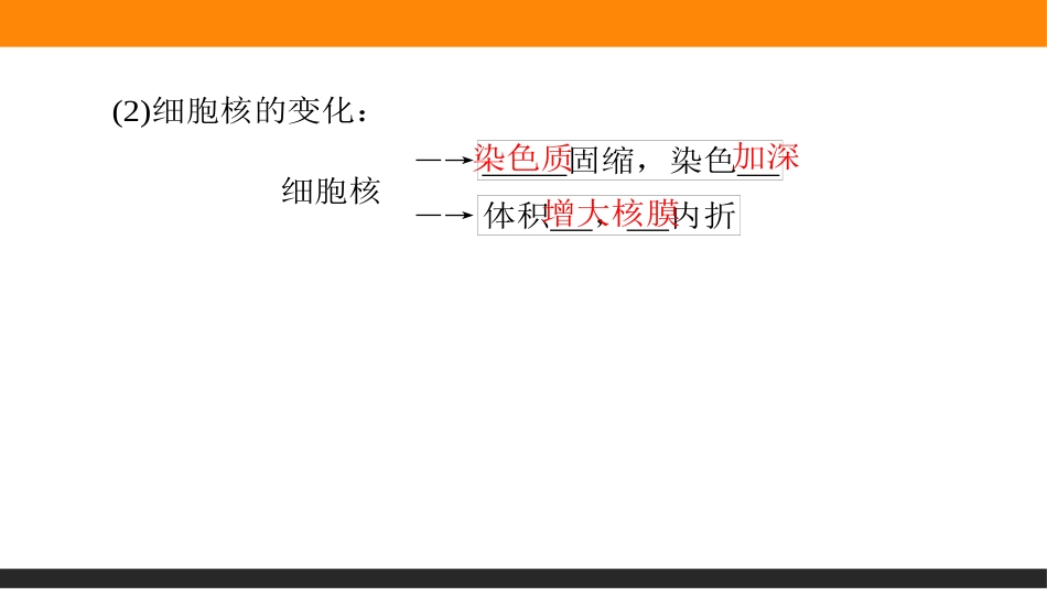 《细胞的衰老和死亡》细胞的生命历程PPT课件[人教版高中生物必修一]_第3页