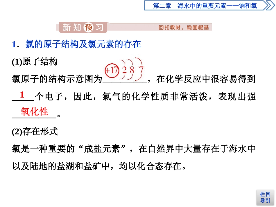《氯及其化合物》海水中的重要元素-钠和氯PPT课件_第3页