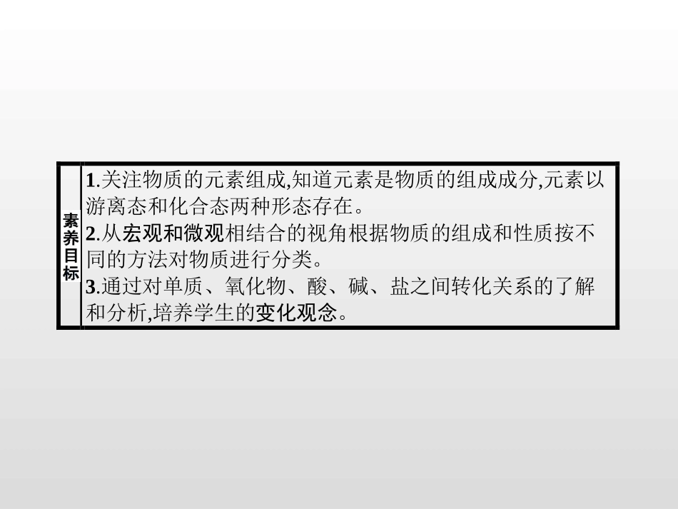 《元素与物质的分类》元素与物质世界PPT课件_第2页