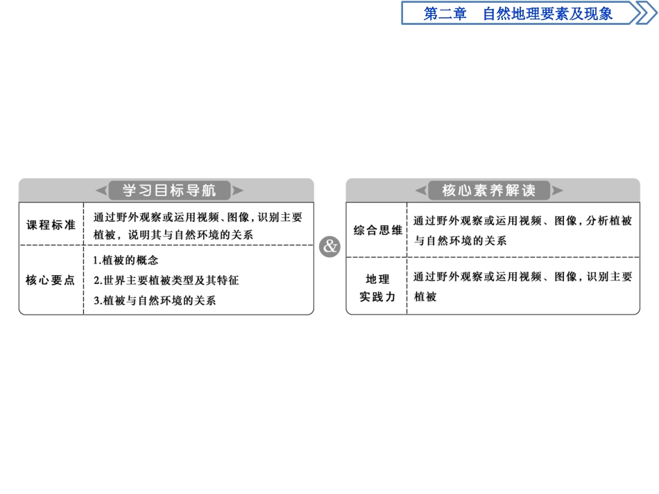 《植被与自然环境的关系》自然地理要素及现象PPT课件_第2页