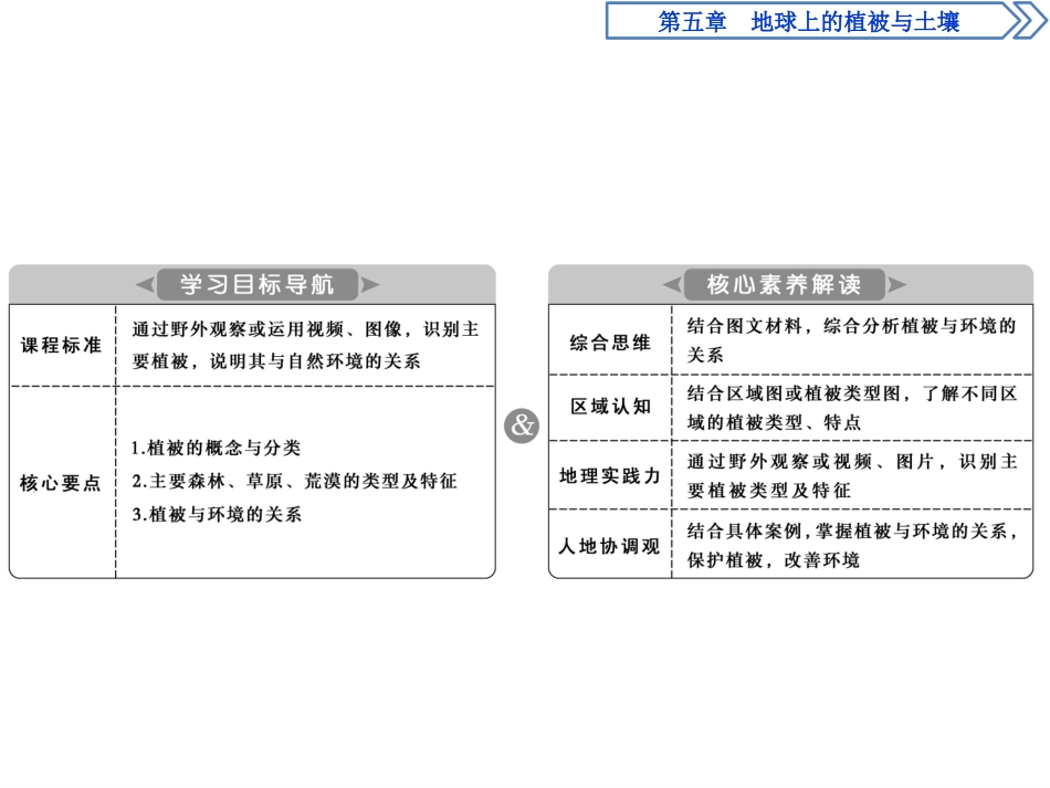 《主要植被与自然环境》地球上的植被与土壤PPT教学课件_第2页