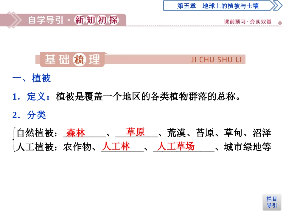 《主要植被与自然环境》地球上的植被与土壤PPT教学课件_第3页