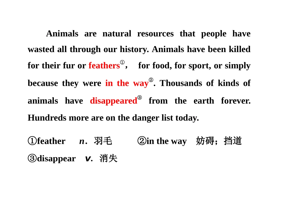 《Into the wild》Section ⅠPPT课件_第2页