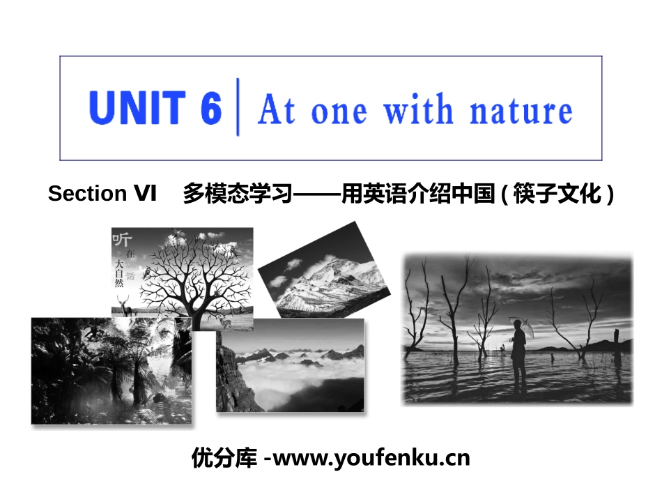 《At one with nature》Section Ⅵ PPT教学课件_第1页