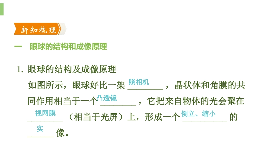 《眼睛和眼镜》透镜及其应用PPT教学课件[人教版八年级物理]_第3页