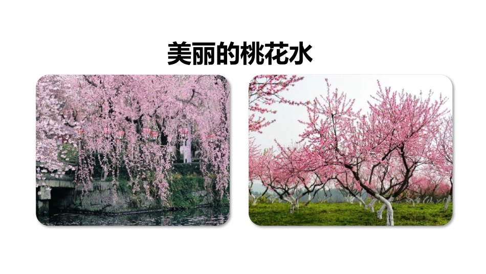 《三月桃花水》PPT教学课件[部编版四年级语文下册]_第2页