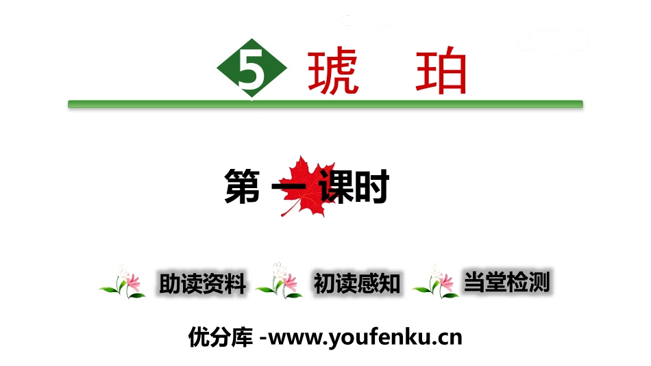 《琥珀》PPT(第一课时)PPT课件[部编版四年级语文下册]_第1页