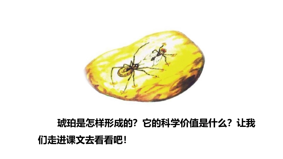 《琥珀》PPT(第一课时)PPT课件[部编版四年级语文下册]_第3页