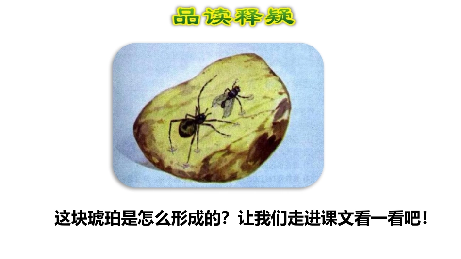 《琥珀》PPT(第二课时)PPT课件[部编版四年级语文下册]_第3页