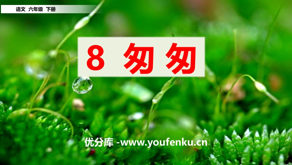 《匆匆》PPT课件[部编版六年级语文下册]_第1页