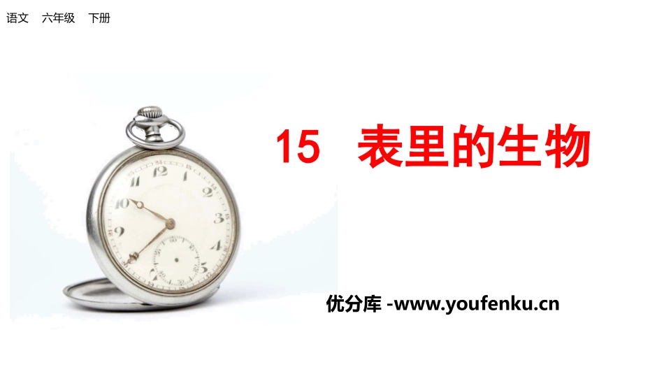 《表里的生物》PPT课件[部编版六年级语文下册]_第1页